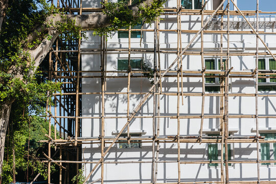 Building surrounded by bamboo