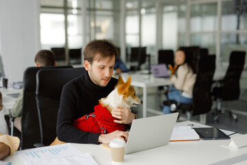 Job shared office gadget online freelance pet