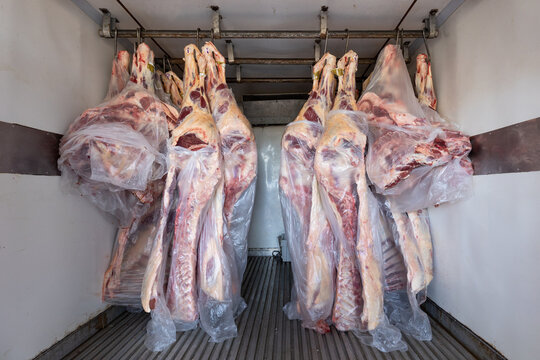 Meat carcasses being transported to the butchery in refrigerated truck