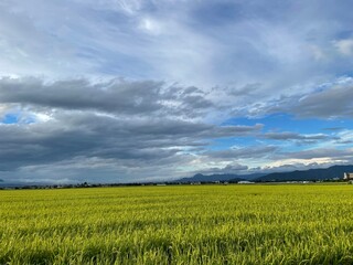 210818田んぼ今塚

山形市今塚
田んぼ
雲
空