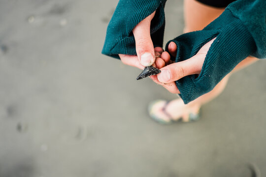 Closeup of child holding a shark tooth