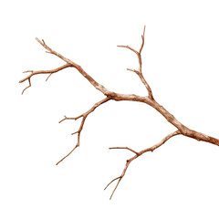 Cracked patinated wooden bark on a transparent background