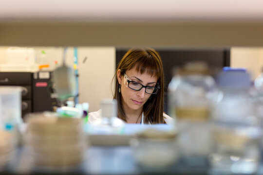 Woman scientist working in the lab