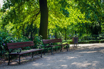 Letni spacer w słoneczny dzień w parku miejskim  Grudziądz, Polska.  - obrazy, fototapety, plakaty