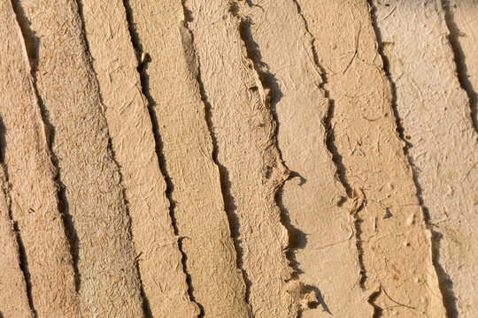 Natural textured papers in bright, earthy tones  in a row 