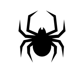 Vector spider icon.