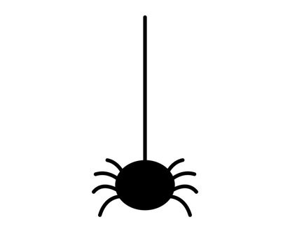Vector spider icon, illustration.