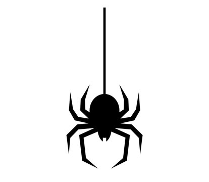 Vector spider icon, illustration.