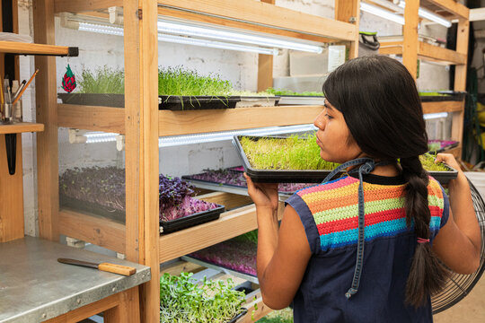 A woman carrying a tray of microgreens