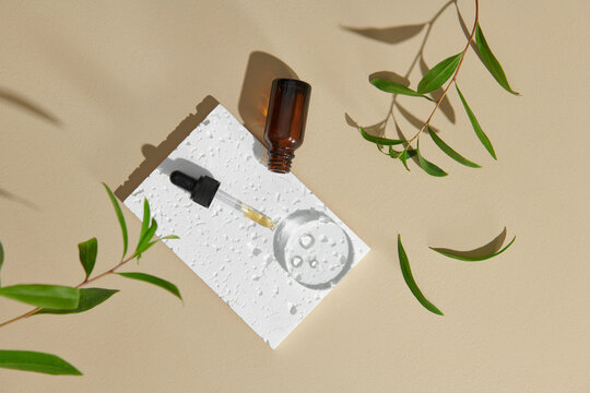 fresh tea tree leaves and essential oil