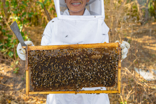 Beekeeper holding a hive. 