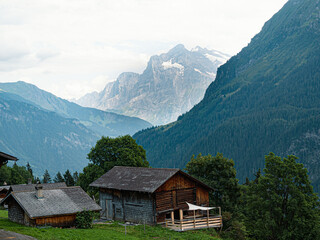 Fototapeta na wymiar Alpine wood cabin village with Big mountain in the back in the swiss Alps at Jungfrauregion Berner Oberland