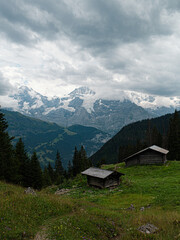 Fototapeta na wymiar View at Eiger Mönch and Jungfrau from alpine wooden cabins in switzerland Jungfrauregion Mountains Alps