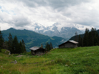 View at Eiger Mönch and Jungfrau from alpine wooden cabins in switzerland Jungfrauregion Mountains Alps