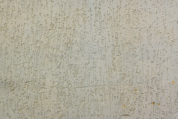 bark beetle plastered wall and painted gray