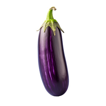 Solitary purple eggplant on transparent background