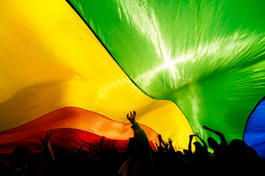 silhouettes of people marching at the pride parade under a large flag