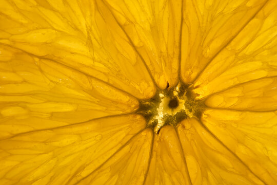 Closeup macro photo orange slice details texture internal structure
