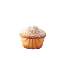 Selective focus on homemade vanilla muffins with icing sugar