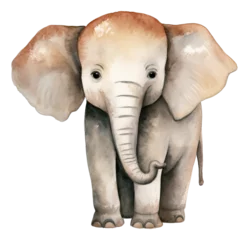 Foto op Plexiglas Olifant Cute elephant cartoon character, Hand drawn watercolor isolated.