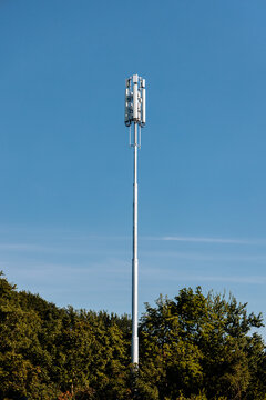 Base station network operator.