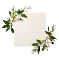 White flower and green leaves in black frame isolated