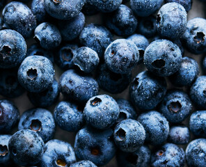 Fresh Blueberry