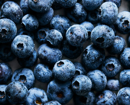 Fresh Blueberry 