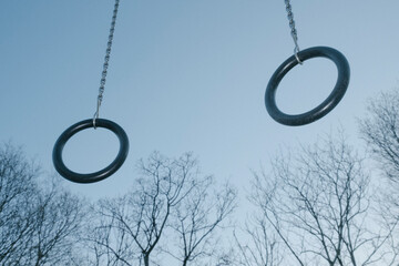 Gymnastic Rings