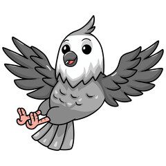 Cute whiteface cockatiel bird cartoon