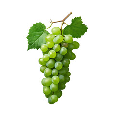 Obraz premium transparent background with green grape