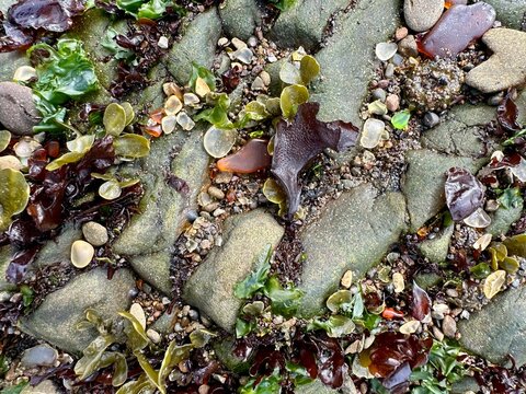 Closeup of sea glass and rocks at Glass Beach, California  - Powered by Adobe