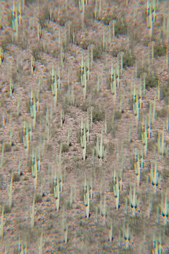 Surreal photos of nature 
