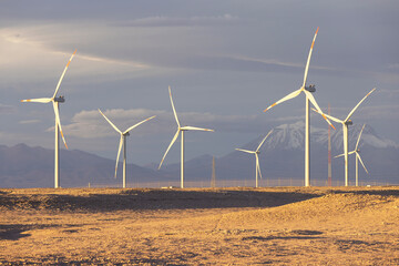 Wind farm at dusk