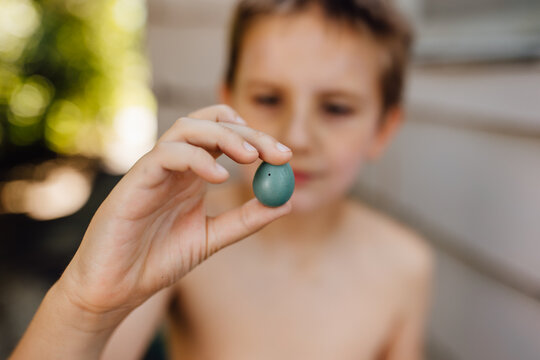 Child Finds Robin Egg Outside While Playing