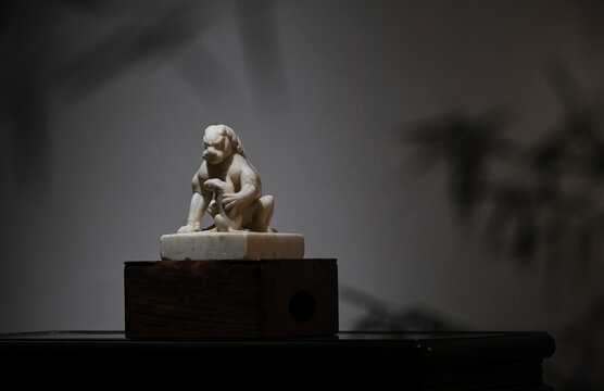 Stone lions carved with white marble for decoration at home