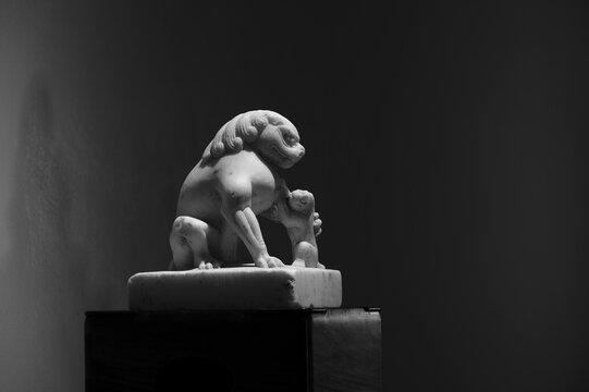 Stone lions carved with white marble for decoration at home