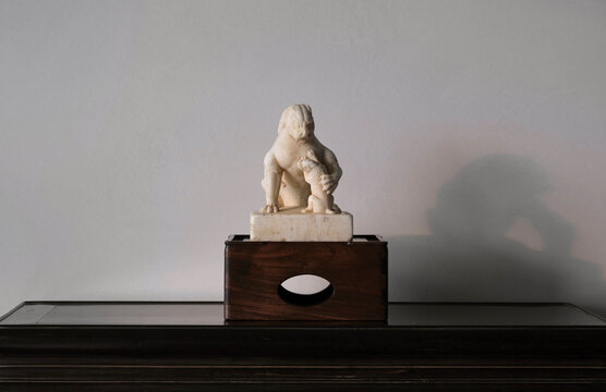 Stone lions carved with white marble for decoration at home