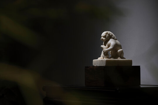 Stone lions carved with white marble for decoration at home