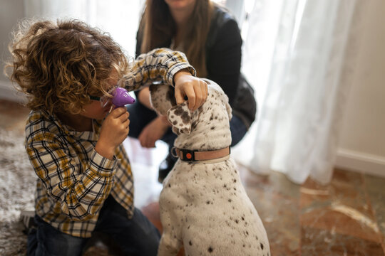little boy playing with his dog at home