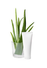 Aloe vera toothpaste in blank tube and green leaves isolated on white