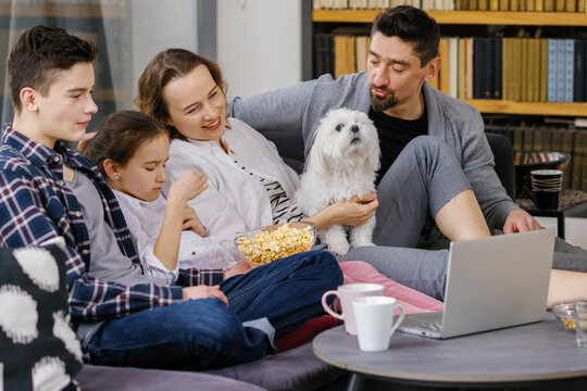 Family showtime snack pet chill home atmosphere weekend 