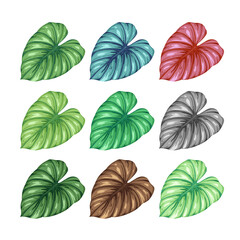 Graphic leaves of various colors cut edge no background