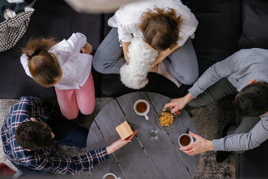 Anonymous. Pet. Game night. Family connection. Coffee table. Relaxed