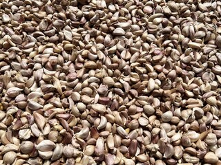 White garlic pile texture. Fresh garlic on market table closeup photo.