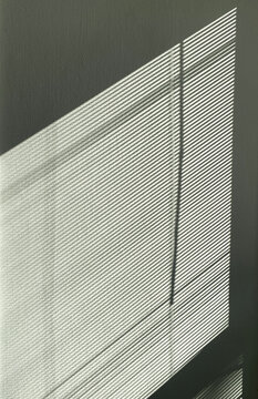 shadow of venetian blind