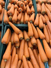 fresh organic carrots on market stall
