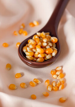Popcorn Seeds 