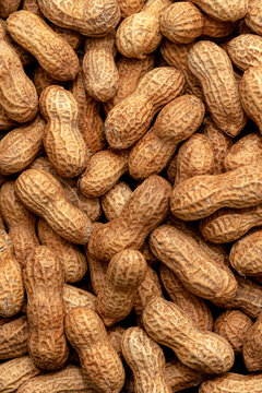 Macro Peanuts 