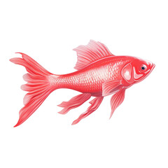 Fish that is red and is against a transparent background